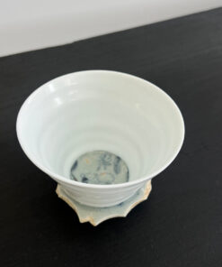 "REBORN" Medium Cup F