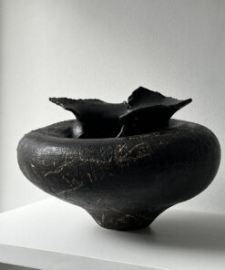 Vessel #2411