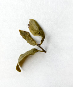 Taiwan: Qing Xin Dong Pian Oolong