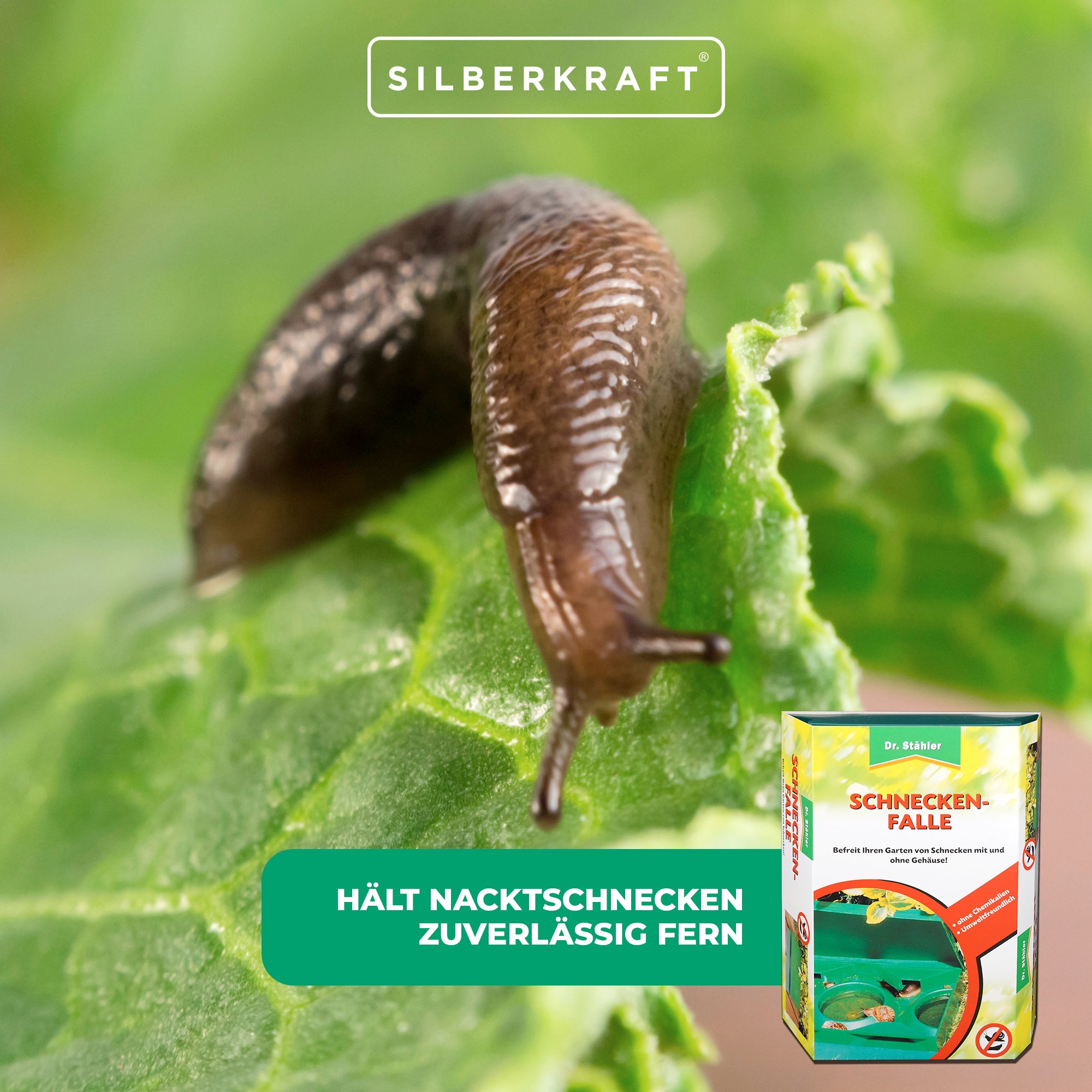 Clevere Schneckenfalle für einen schönen, ungestörten Garten