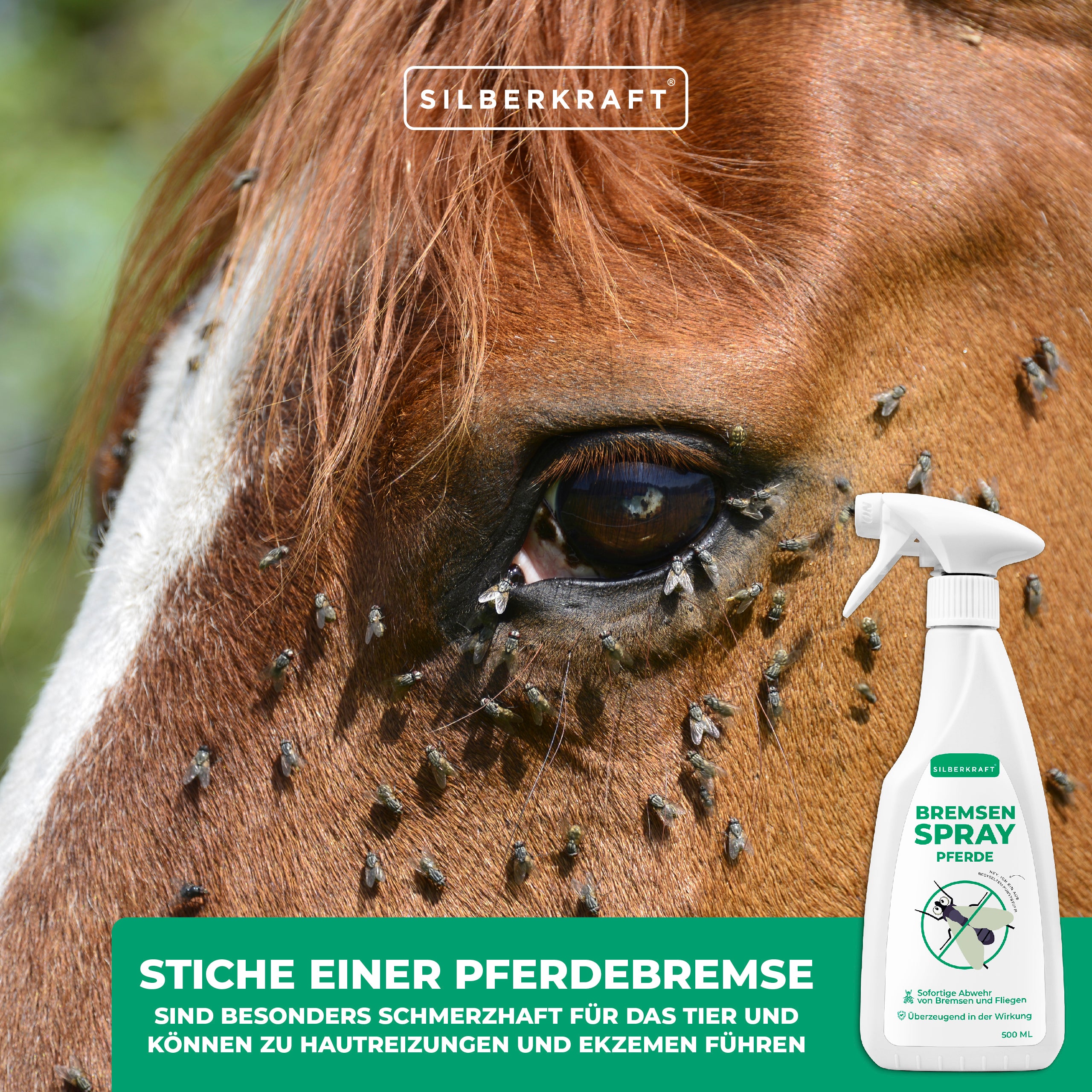 Bremsen-Spray für Pferde