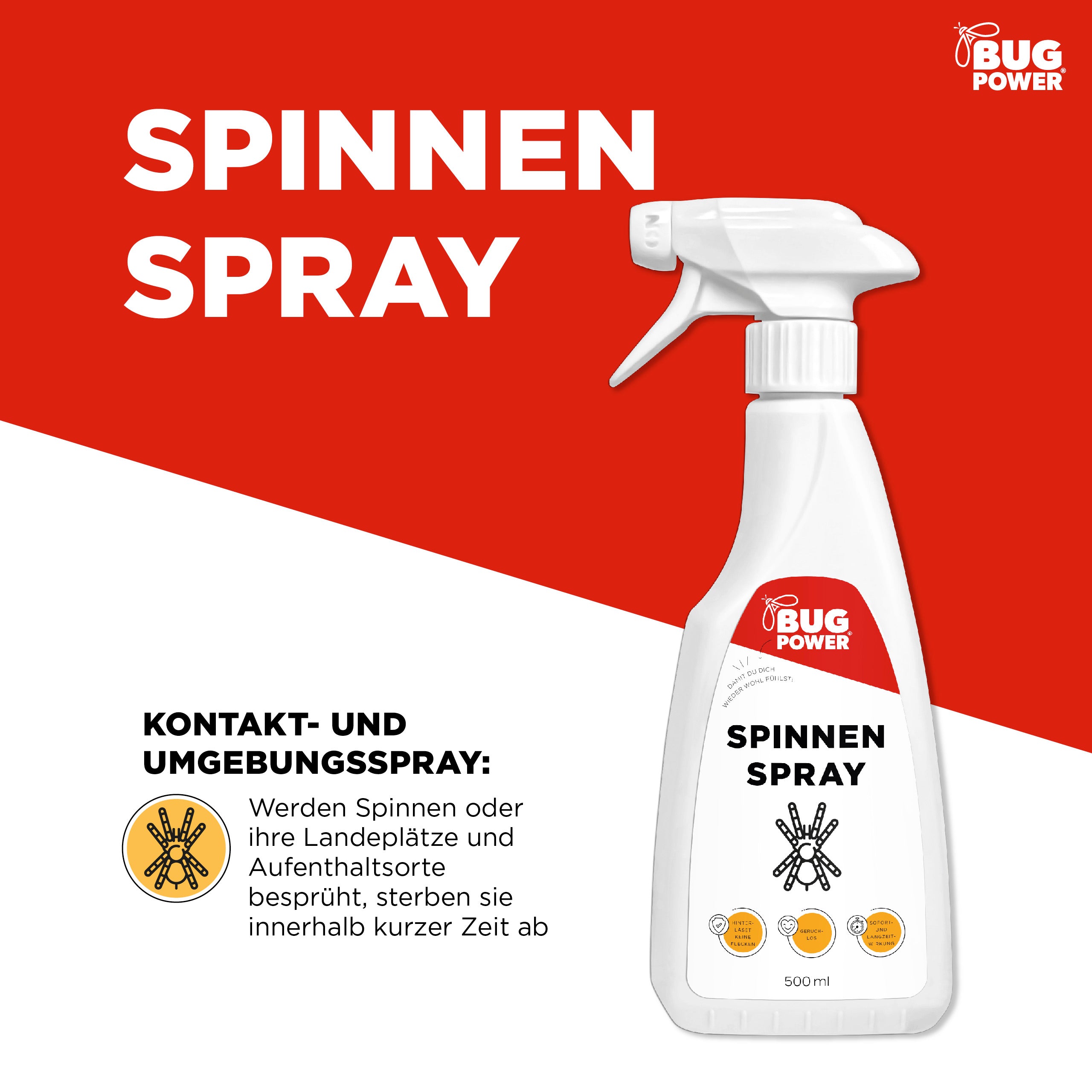 BugPower Spinnen Spray - effektiv gegen Spinnen