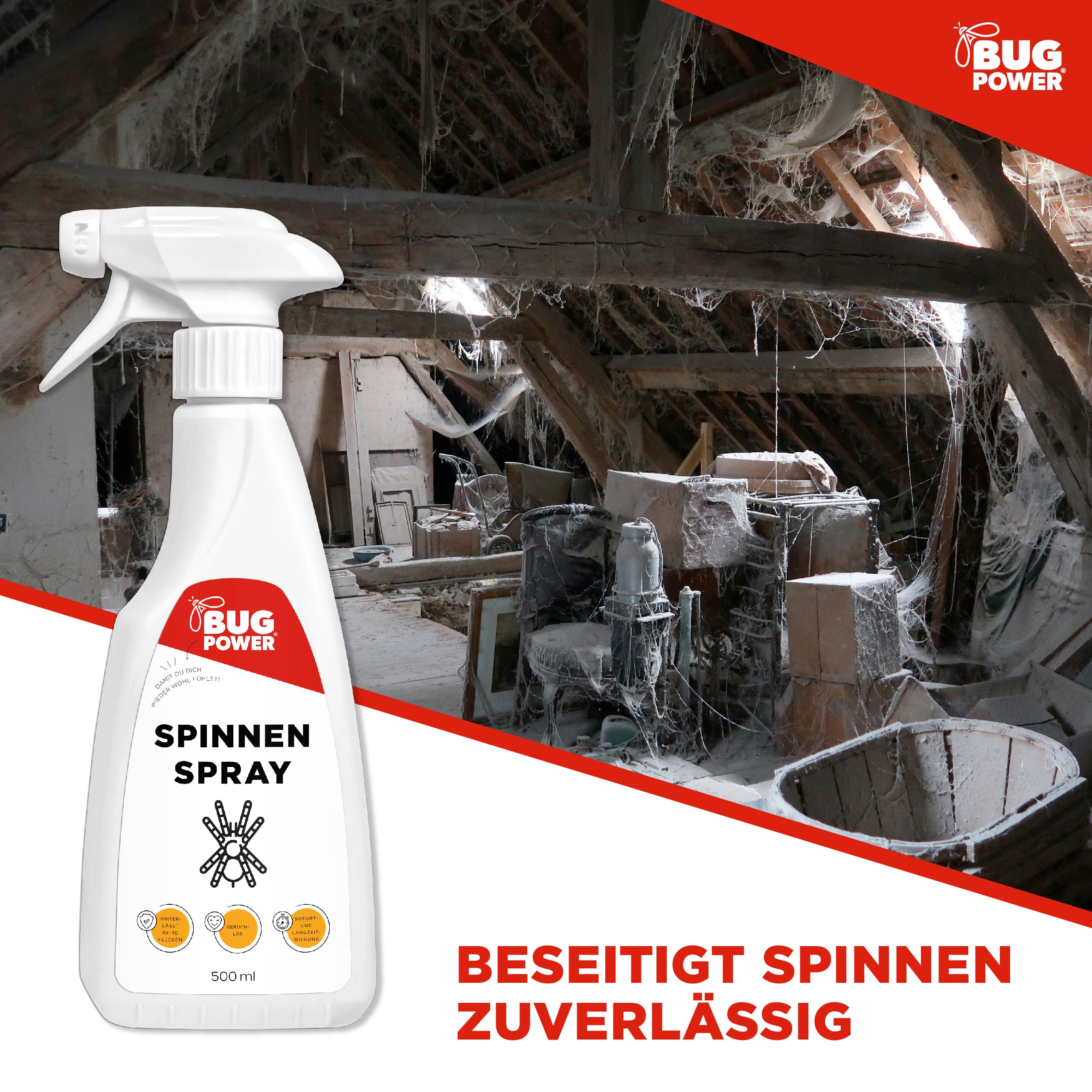 BugPower Spinnen Spray - effektiv gegen Spinnen